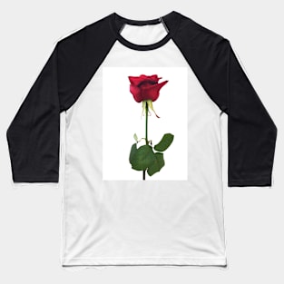 rose Baseball T-Shirt